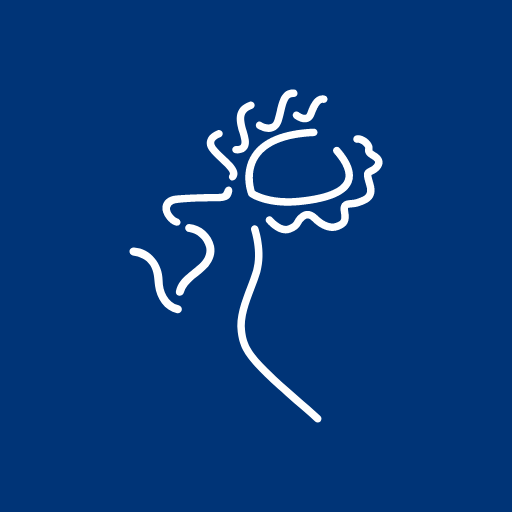 Gemeente Hellendoorn